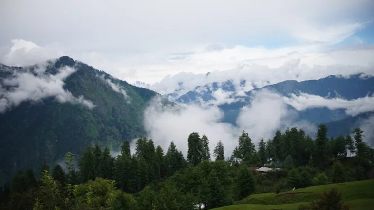 Kumrat Valley Tour deodar forest Dir Pakistan