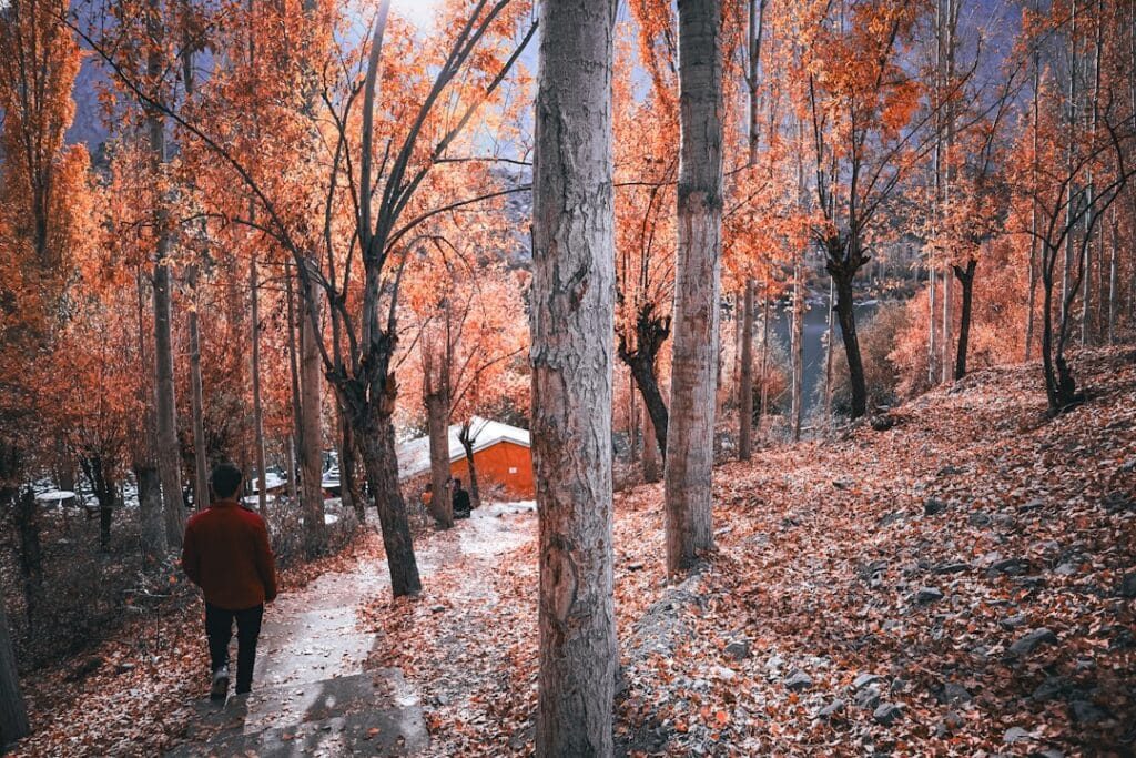 Skardu Autumn Tour golden foliage Pakistan Karakoram