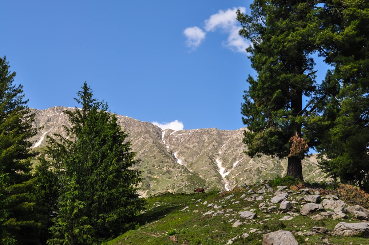 Family hiking together in the mountain valleys of northern Pakistan