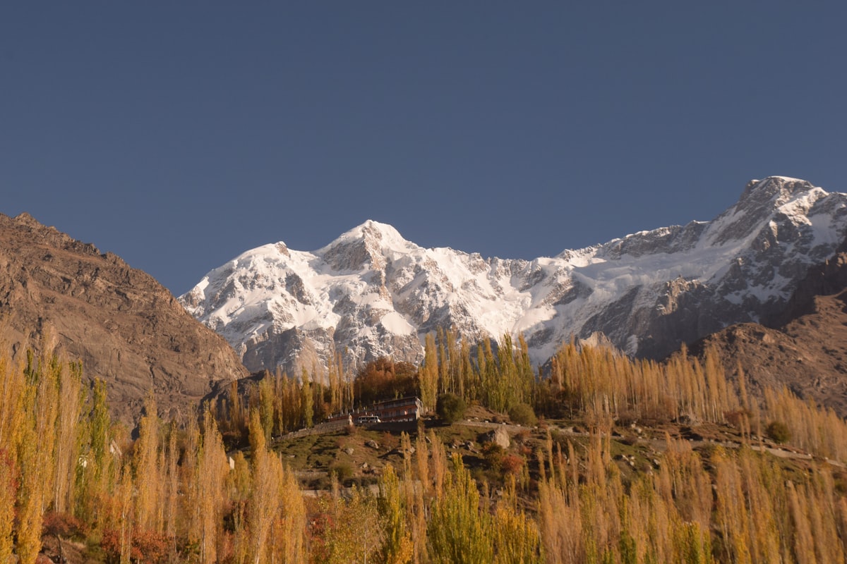 Cherry blossom trees in full bloom in Hunza Valley with mountain backdrop Pakistan