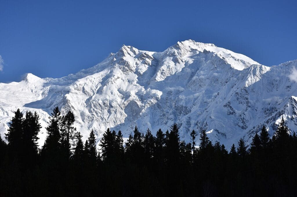 Nanga Parbat (8,126 m) seen from the green pine meadow of Fairy Meadows, Gilgit-Baltistan