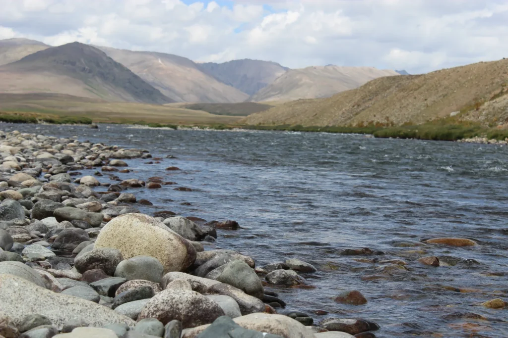 The Bara Pani stream cutting across green Deosai meadows with a jeep track and bridge