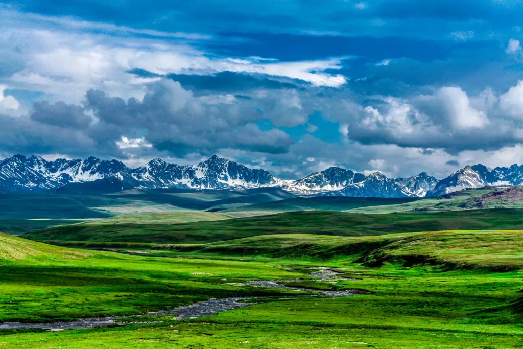 The open Deosai Plains rolling toward distant snow peaks under a wide summer sky