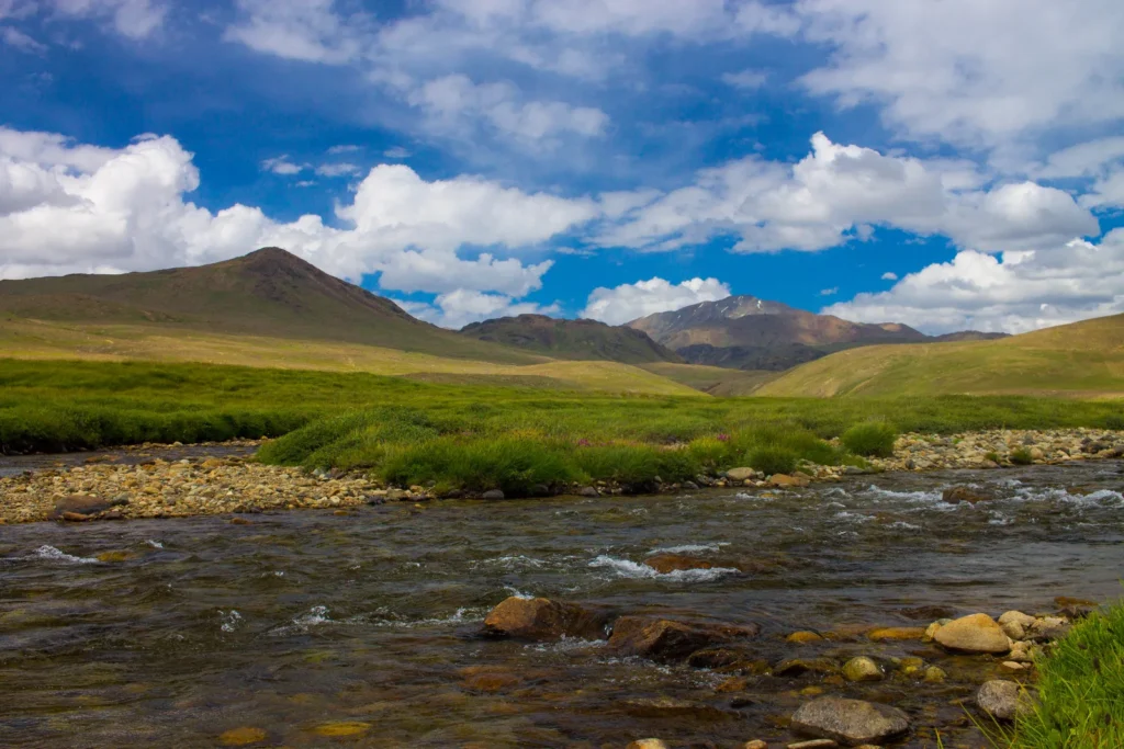 Green summer meadows and wildflowers spreading across the Deosai plateau below snow peaks