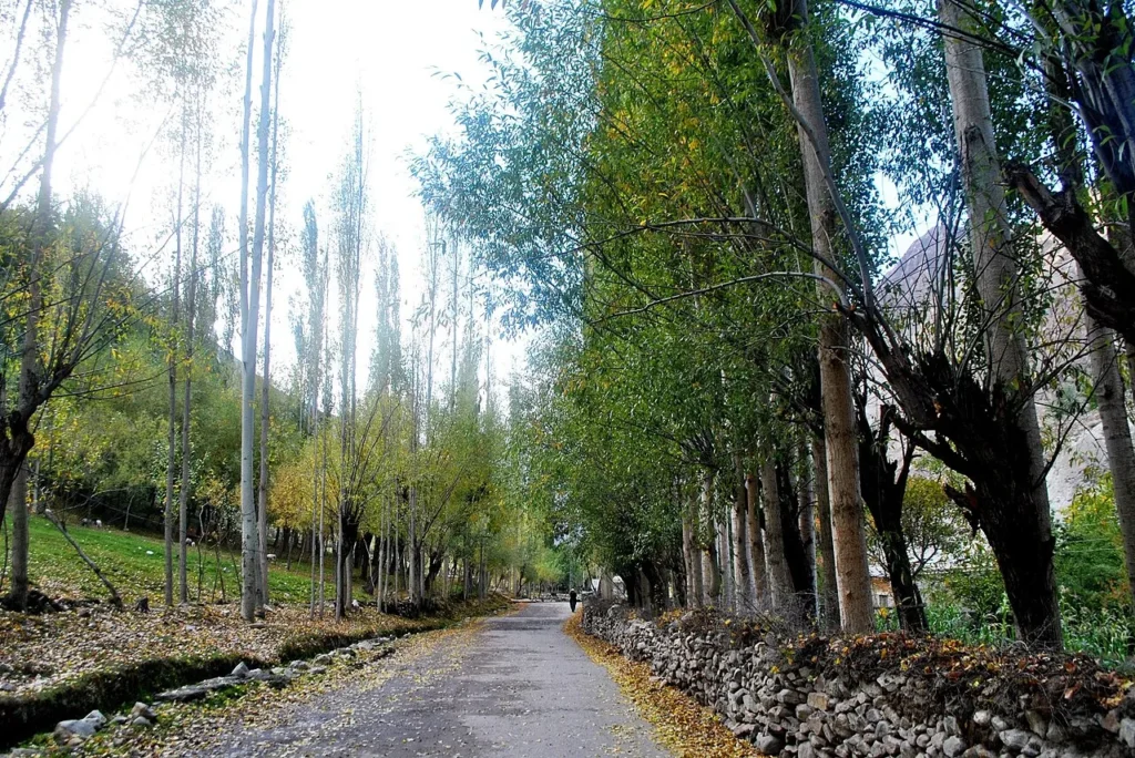Green terraced fields and villages of the Nagar Valley, the gateway to the Rush Lake trek