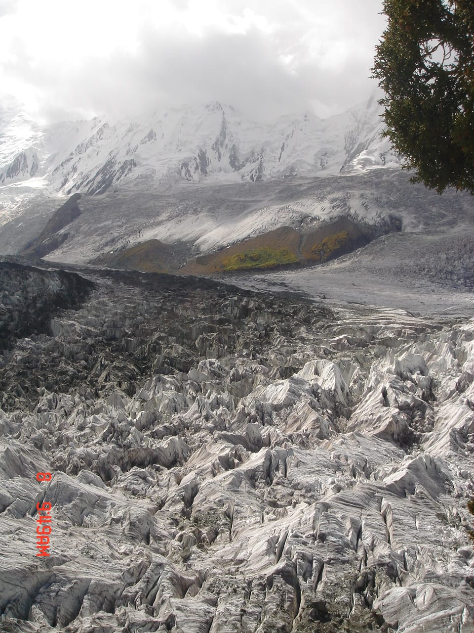 Minapin Glacier and Rakaposhi seen from the Rakaposhi Base Camp trail in Nagar Valley
