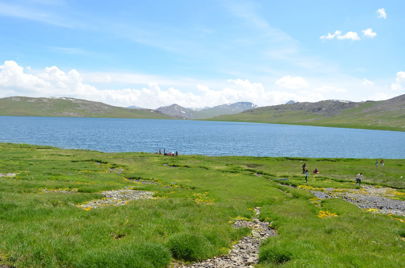 Deep blue Sheosar Lake ringed by green meadows and snow-streaked ridges at 4,250 m