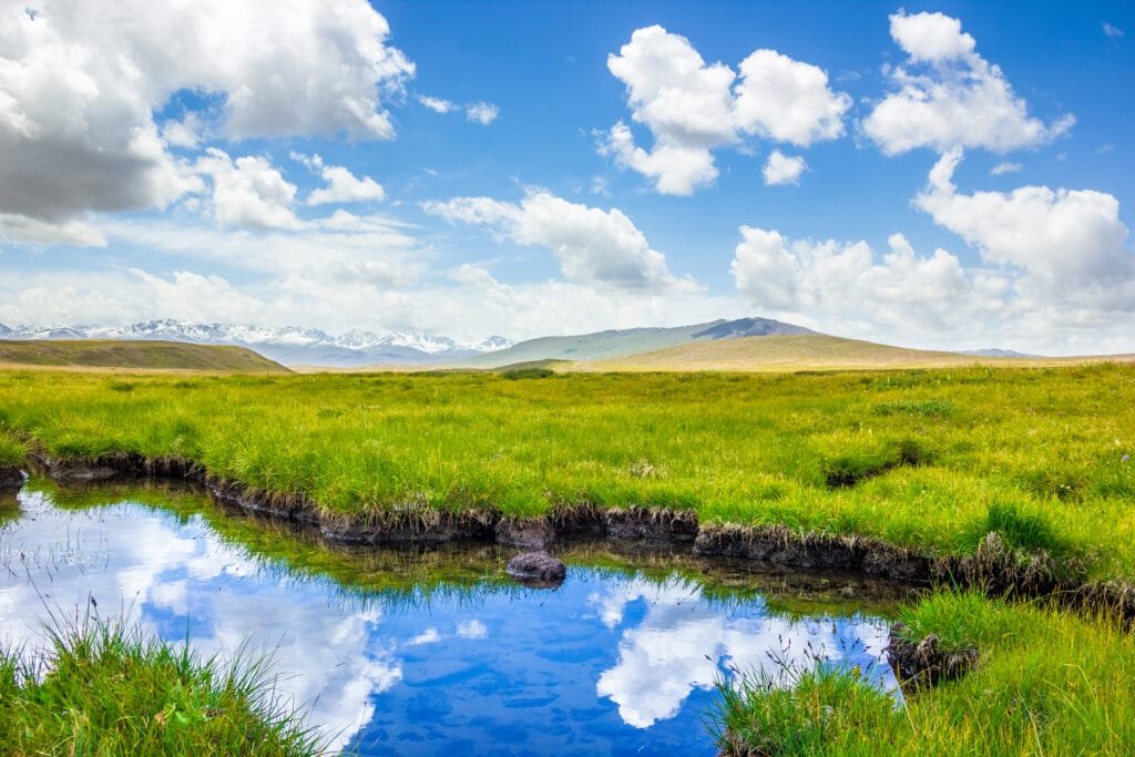 Wide green summer plains of Deosai National Park near Bara Pani, Gilgit-Baltistan