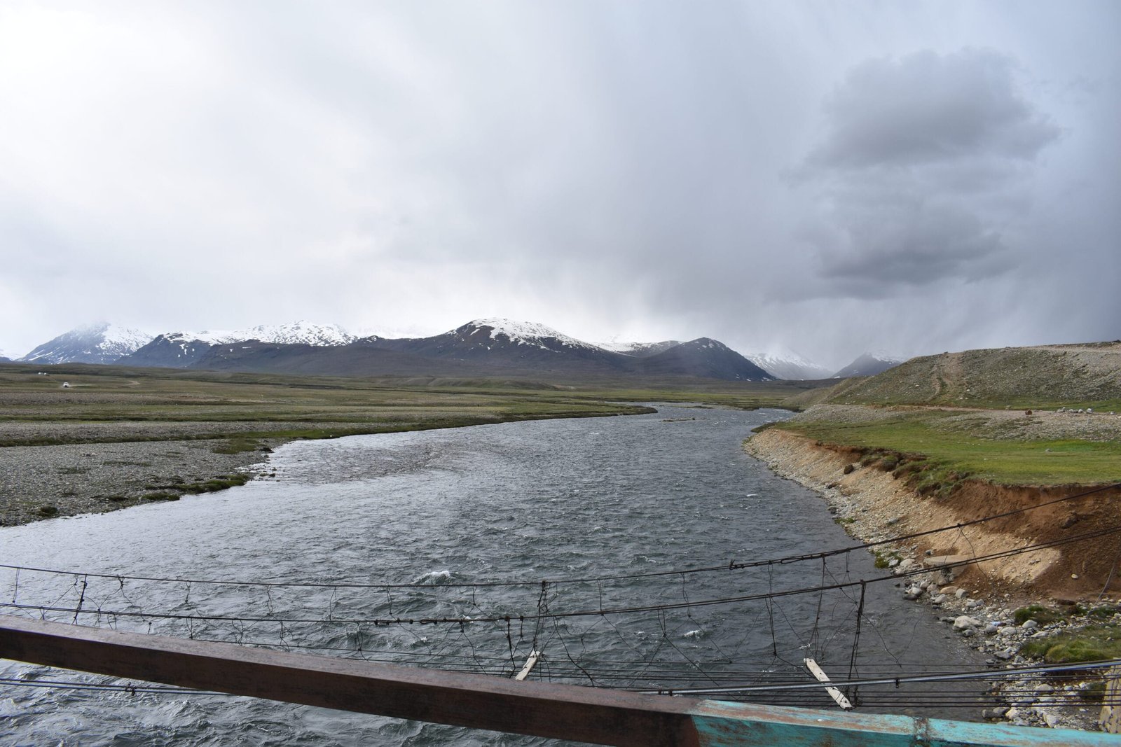 Bara Pani stream running through the green Deosai Plains in summer