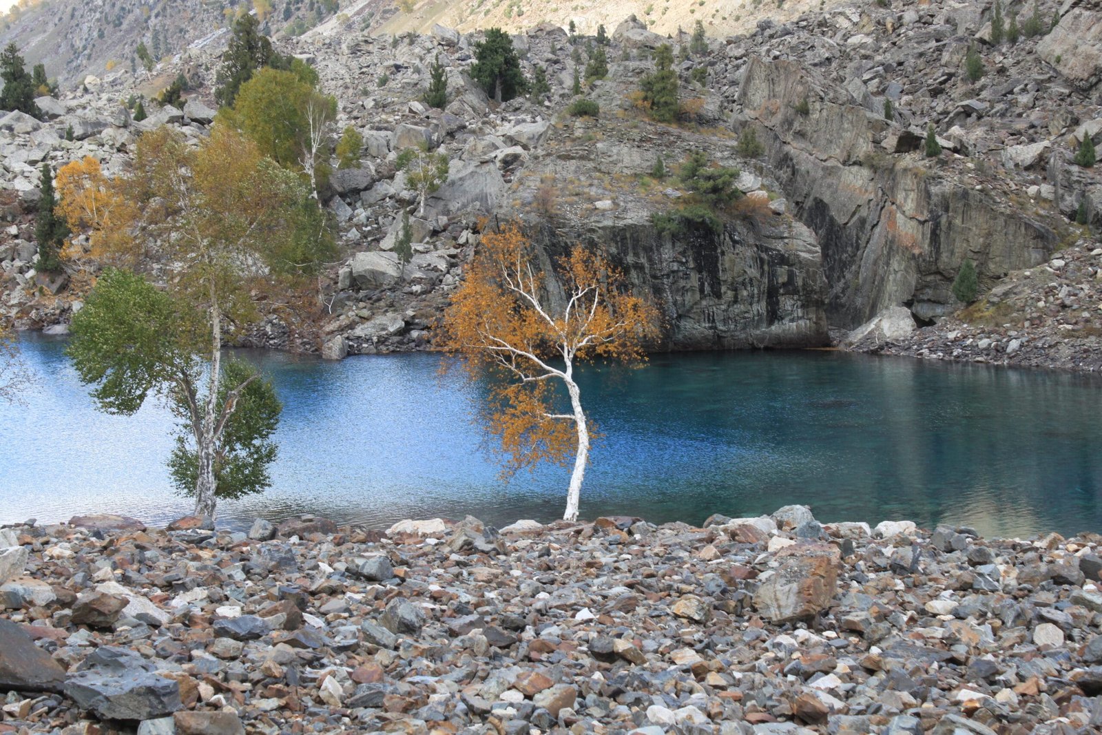 Blue Lake in Naltar Valley surrounded by pine forest, Gilgit-Baltistan