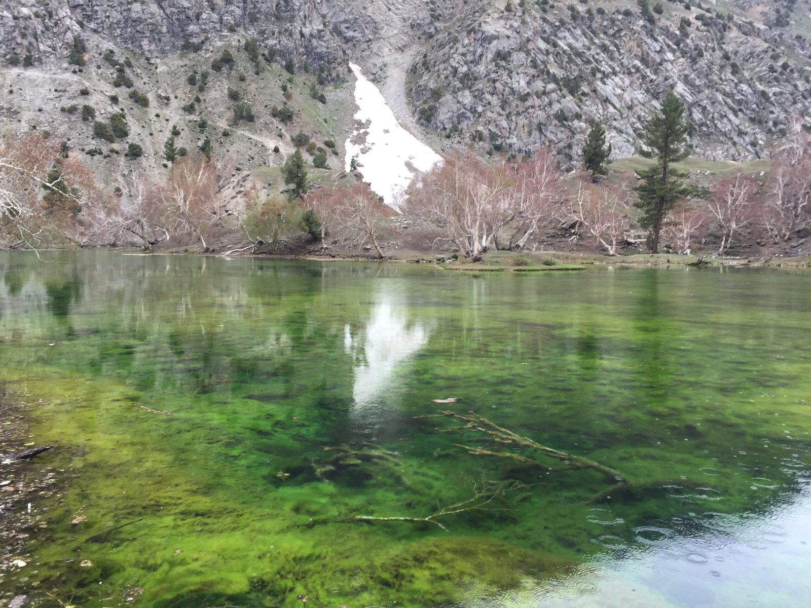 Satrangi Lake, the seven-coloured alpine lake in Naltar Valley, Gilgit-Baltistan
