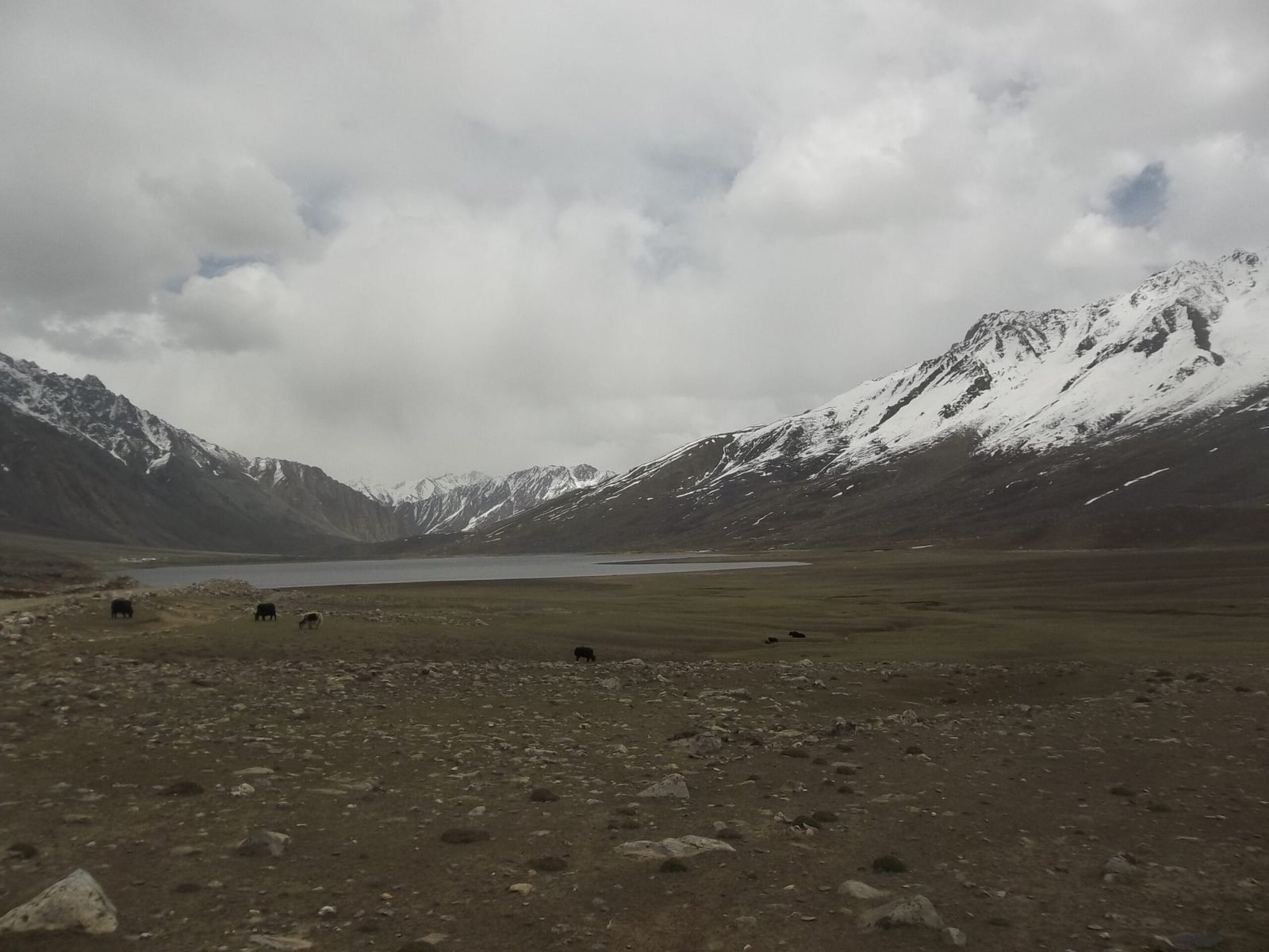 Le haut plateau alpin du parc national de Shandur près du col de Shandur