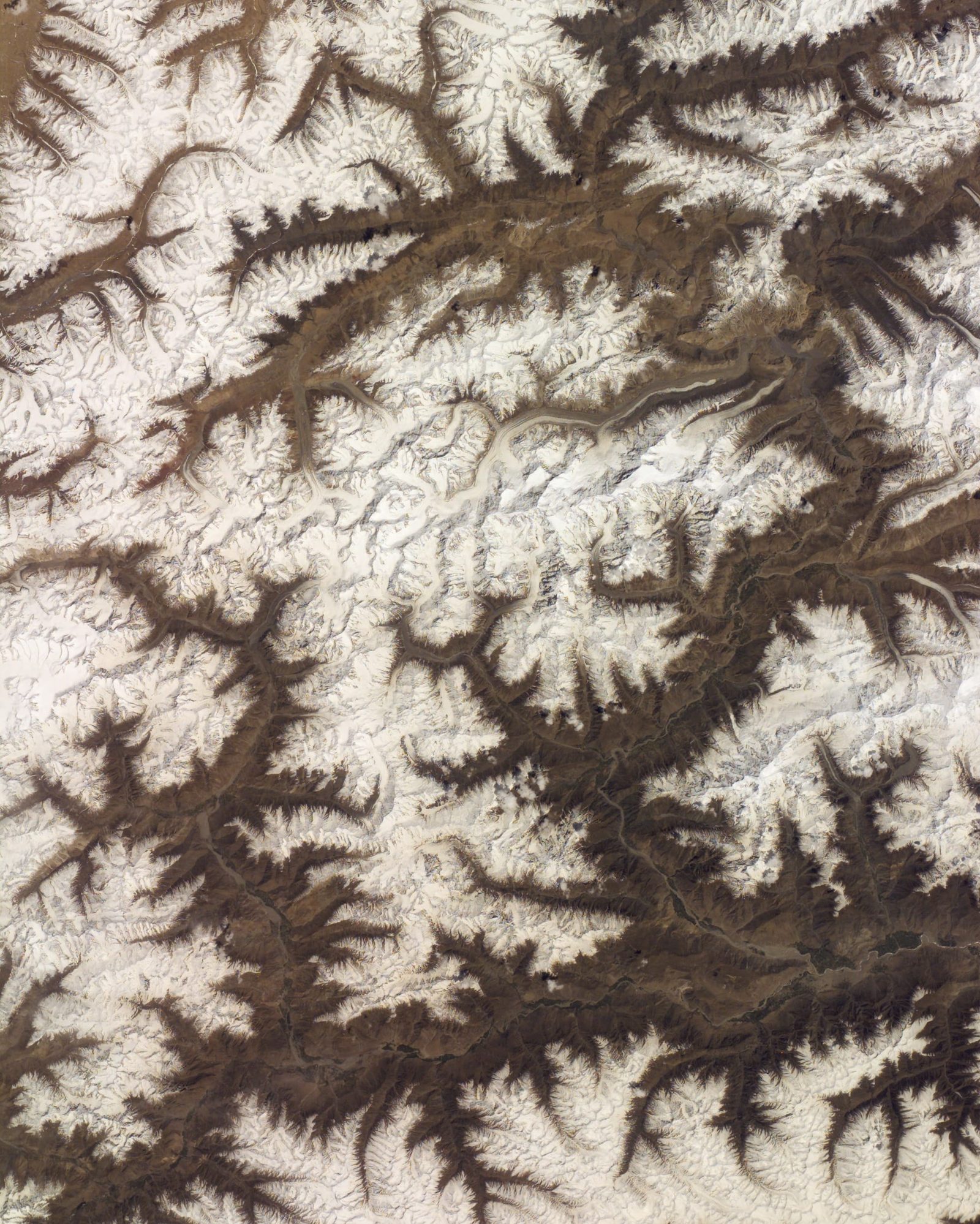 Satellite view of the Batura Muztagh glacier system in the Karakoram from the International Space Station