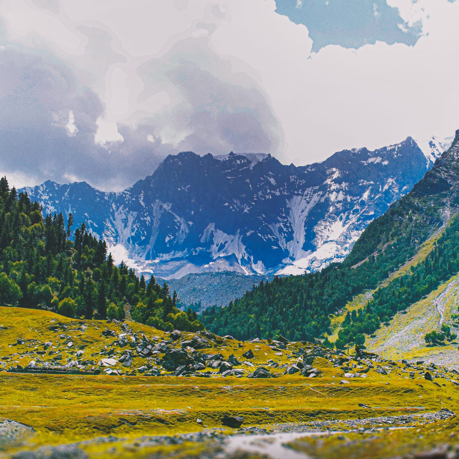 Gargo Meadows, a green summer pasture in the upper Bagrot Valley, Gilgit-Baltistan, Pakistan