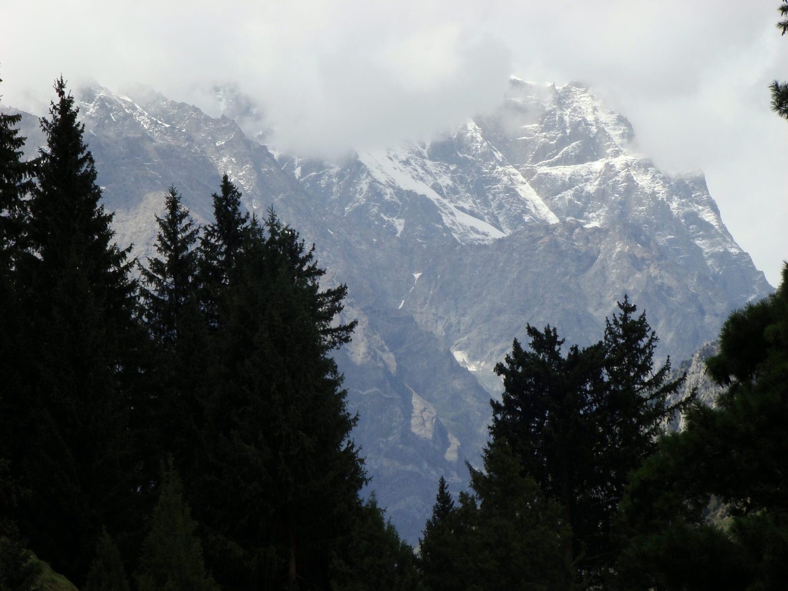 Naltar Valley in Gilgit-Baltistan, the approach valley beneath Shani Peak