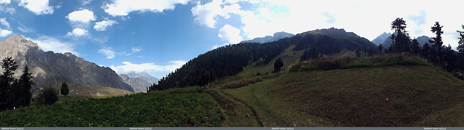 Pineta e prati nella valle di Naltar lungo il cammino verso il ghiacciaio Shani