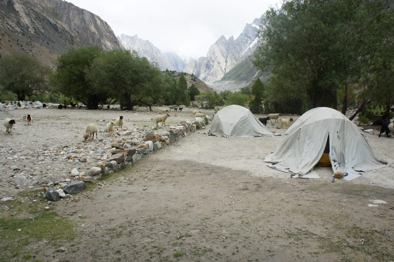 Lagerplatz Saicho an der Abzweigung des Charakusa-Tals vom Gondogoro-Gletschertal, Hushe, Pakistan