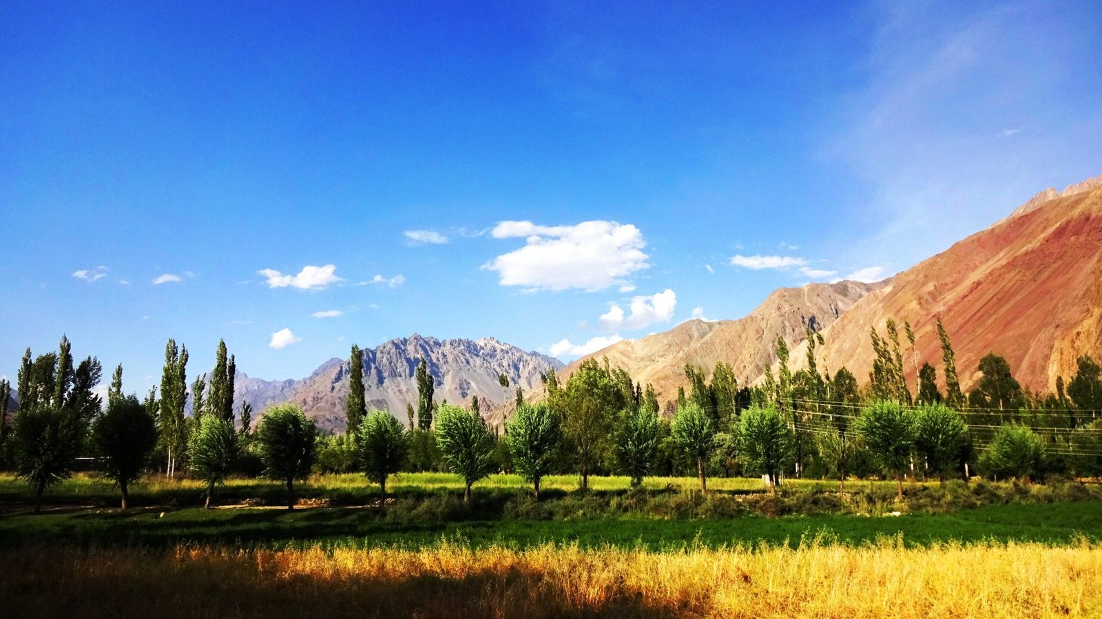 Green fields and villages of the Yasin Valley in summer beneath dry mountain slopes