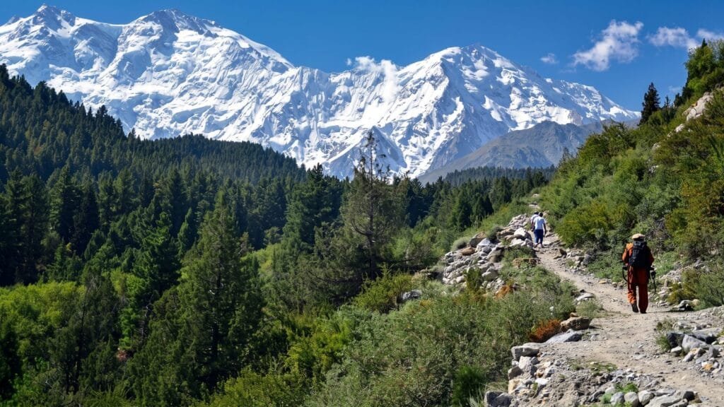 Trekkers on the forest trail to Fairy Meadows below the Rakhiot face of Nanga Parbat