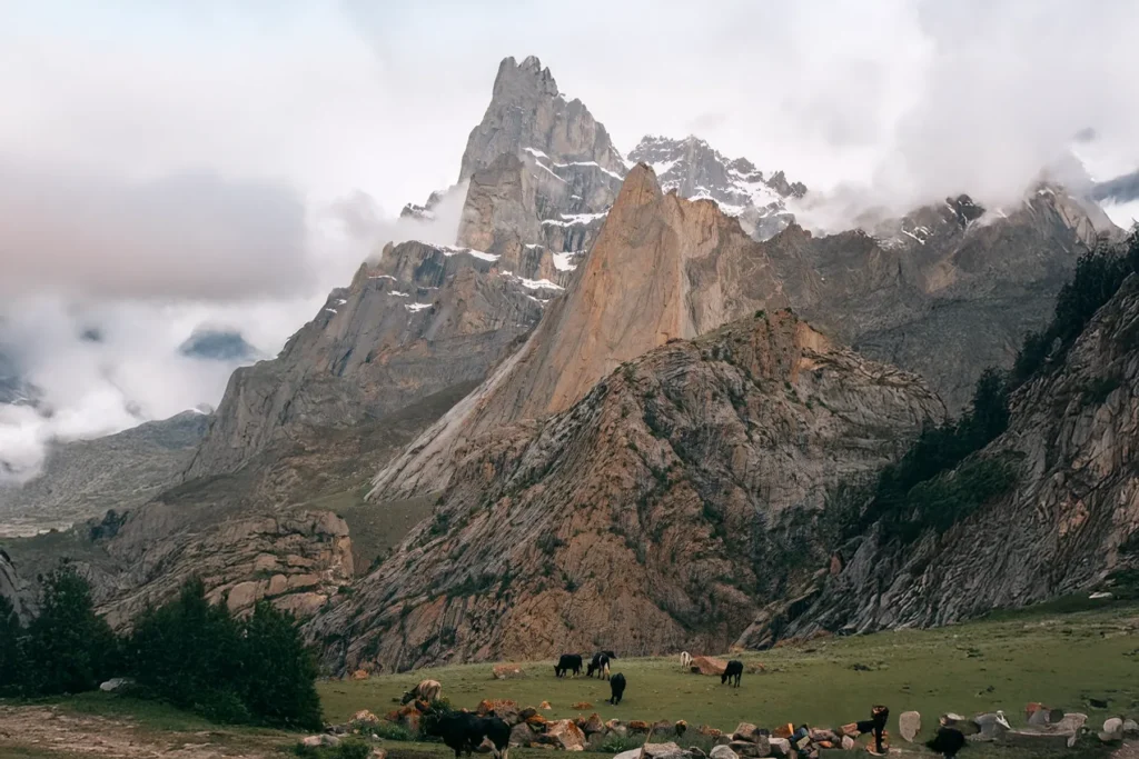 Yaks grazing on alpine pasture below a granite tower