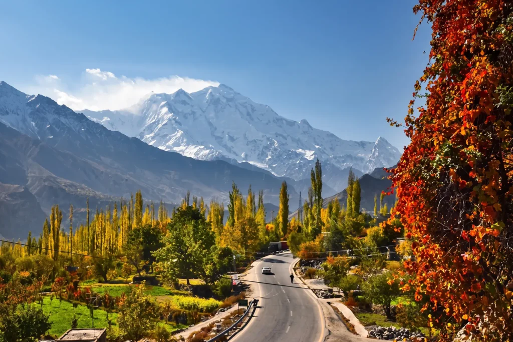 Mountain road lined with poplars and a red creeper below a snow peak