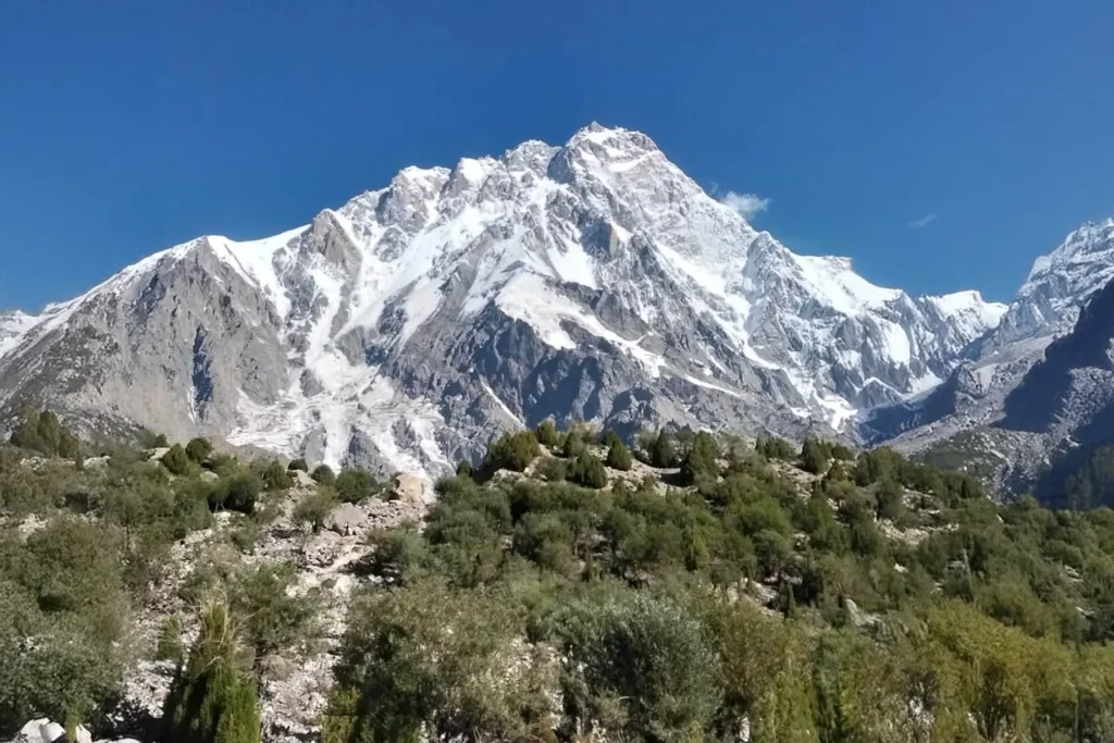Snow massif rising above a green treeline in summer